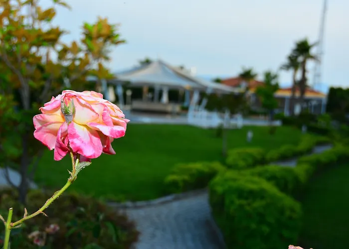 酒店 特里波利斯酒店